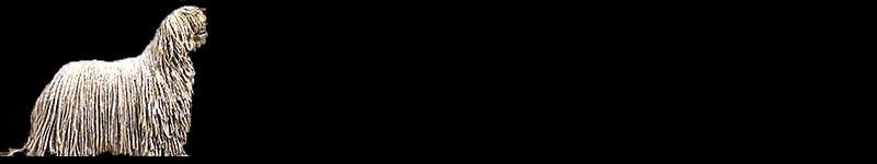 animation animation